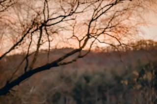 The Retreat at Hiawassee River - 27