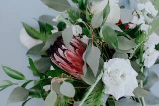 Fukushima Flowers - 61