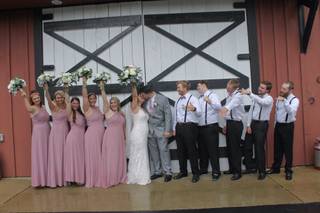 Shady Wagon Farm - 17