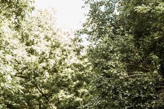 Megan Morales Photography - 64