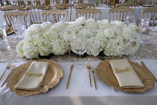 Maguee Events - 10