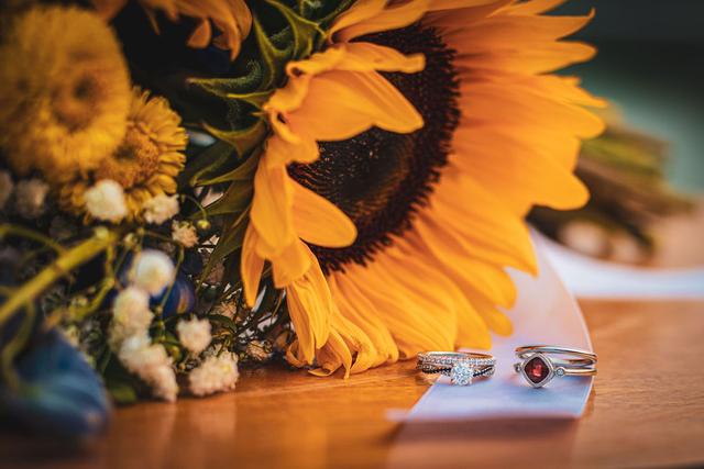 Elinor Jane Photography - 3