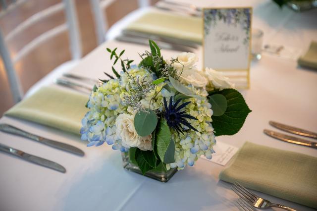 Ashleigh's Garden - 4