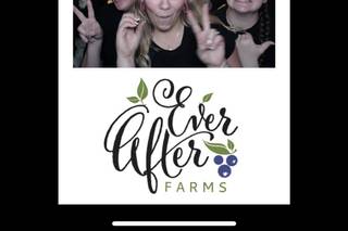 Ever After Farms Blueberry - 39