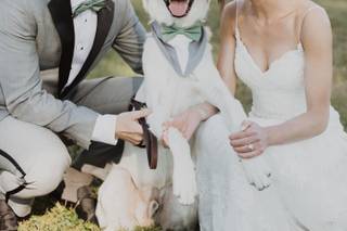 Brooke Voris Weddings - 15