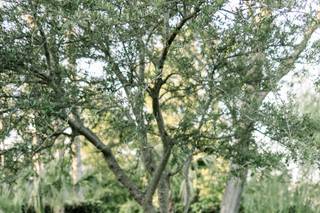 Coastal Knot Bridal Boutique - 40