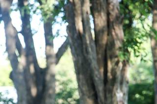 Kelsey Admire Photography - 30