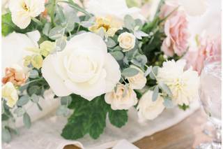 Lovely Peonies - 74