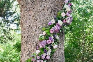 The Rogue Rose - 11