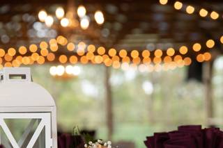 Daisies n' Such Wedding Designs and Consulting - 29