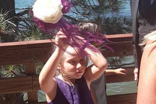 Rose petals - 9