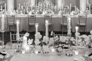 MLH Events - 24