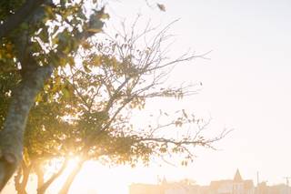 Forever North Photography - 12