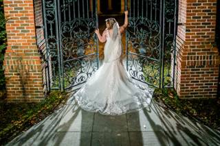 Silverfox Photography & Cinematography - 5