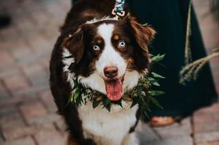 Rebecca Rizzo Photographics - 17