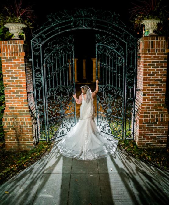 Silverfox Photography & Cinematography - 2