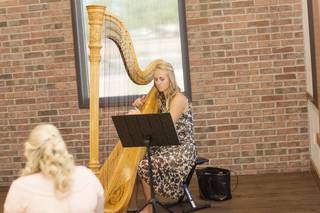 Adrienne Knauer Harpist - 15