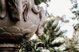 Perfect Petal Designs - 53