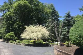 Carmen's Country Inn & Gardens - 77