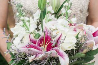 Noble Sparrow Photography - 10