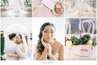 Java Rose Photography - 11