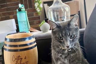 Baby Barrels - 1