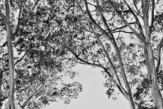 Justin Lee Photography - 9