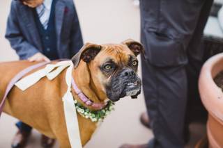 Stephanie W. Photography - 43