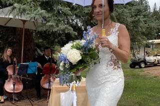 Amore Fiori Flowers and Gifts - 20