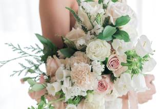 Protea FloraLab. - 36