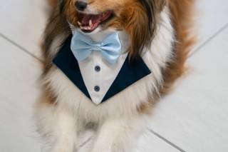 Jay Caballero photography - 6