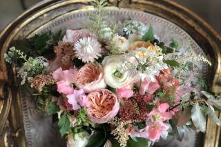 Orpha Events - 15