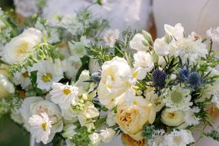 Golden Thistle Design - 29