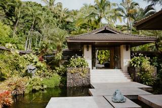 Hale Wailele - 6