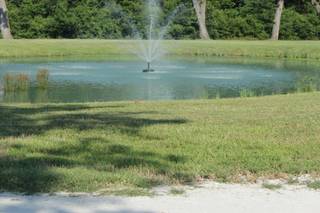 Bluebird Haven Estates - 19