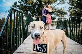 Stephanie Mathena Photography - 12