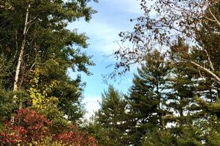 Bishop Farm - 15