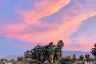 Desert Willow Golf Resort - 89