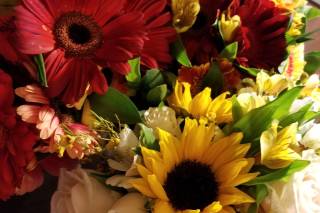 Flowerama - 1