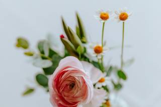 Inspired Designs - 59
