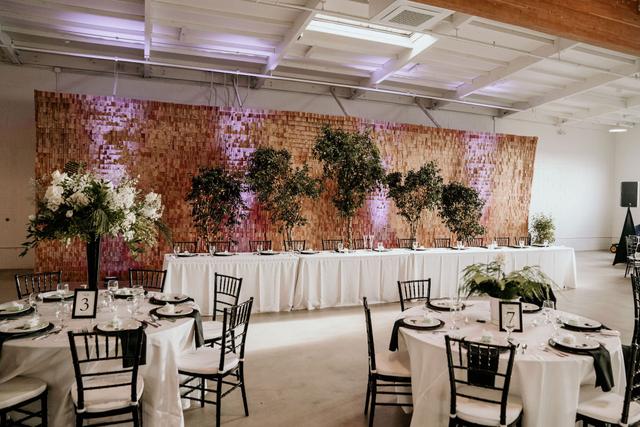 Excellent Party  Rentals - 4