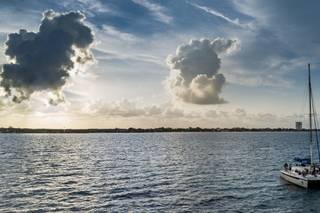 Ryan Brandoff Photography - 36