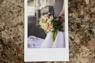 Cole Dewey Designs - 6