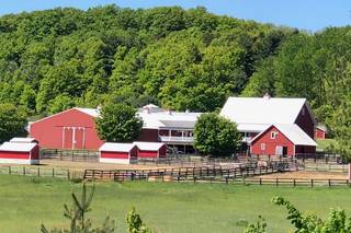 Black Star Farms - 18