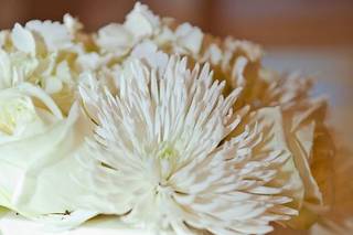 Bloominaire - 13