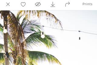 Jannette De Llanos Wedding Photography - 71