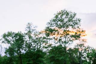 Larisa Shorina Photography - 7