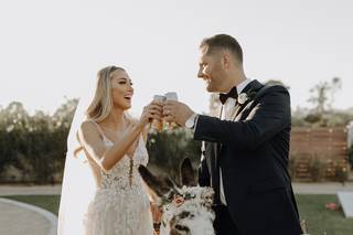 Haul N Ass Productions - 138