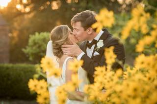 Palms and Places Imagery LLC - 6