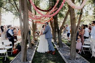 Little Bird Events - 44